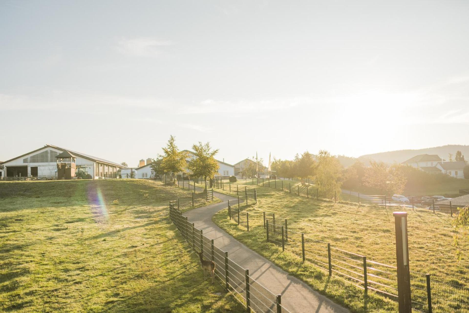 Hof Koehne - Forsthaus 3Er Villa ชมาลเลนแบร์ก ภายนอก รูปภาพ